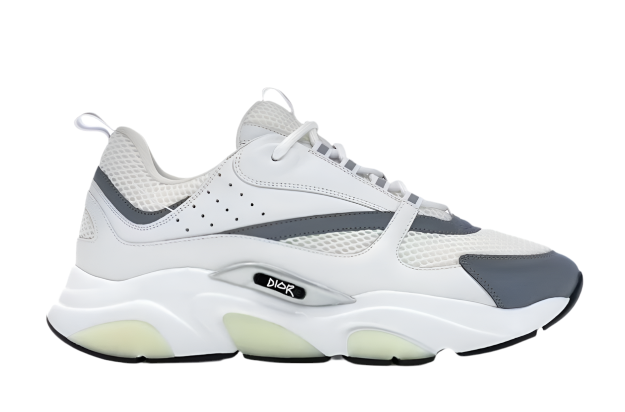DIOR B22 "WHITE SILVER"